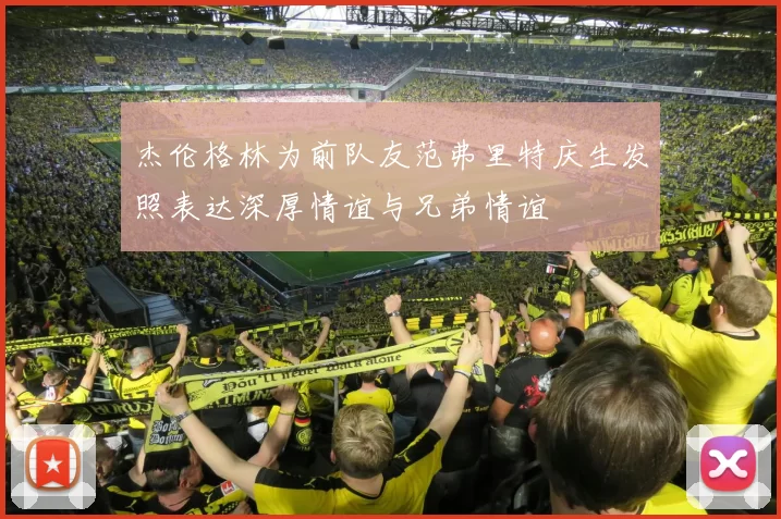 杰伦格林为前队友范弗里特庆生发照表达深厚情谊与兄弟情谊