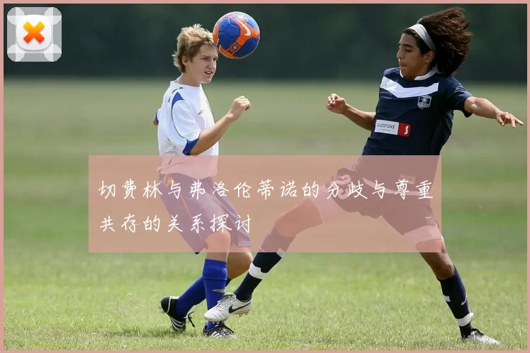 切费林与弗洛伦蒂诺的分歧与尊重共存的关系探讨