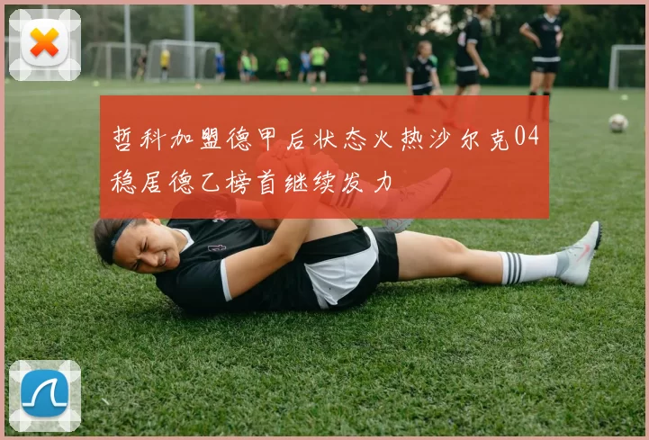 哲科加盟德甲后状态火热沙尔克04稳居德乙榜首继续发力
